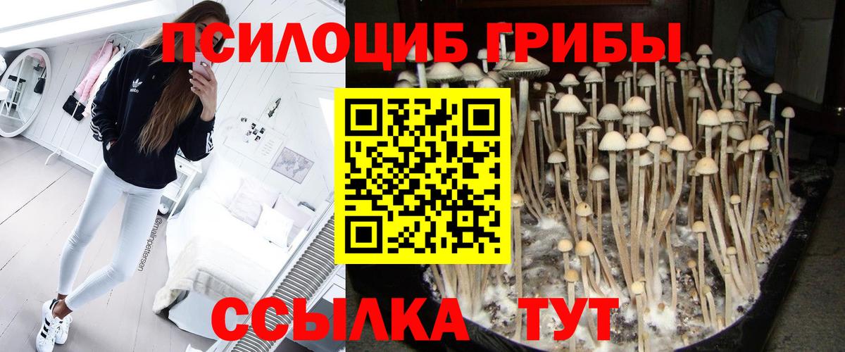 Белогорск  Галлюциногенные грибы ЛСД  Вход с VPN 